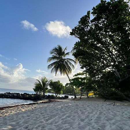 Villa Caraibes Сент-Люс Экстерьер фото
