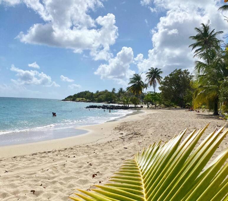 Villa Caraibes Сент-Люс Экстерьер фото